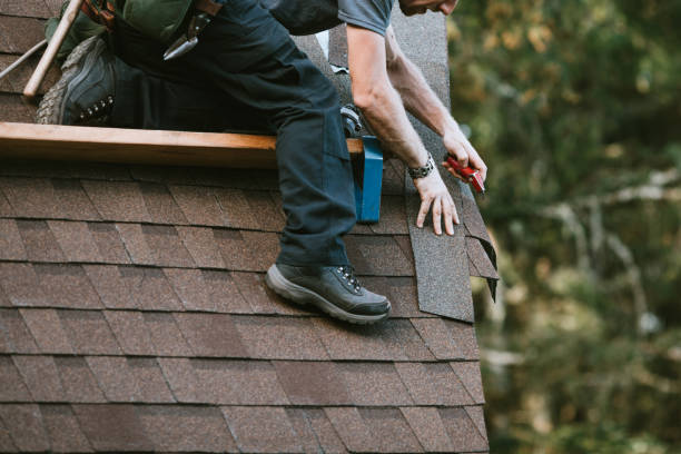Professional Roofing Contractor in Waynesboro, TN